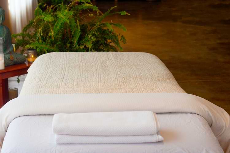 house pour table de massage pliante