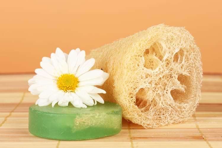 loofah egyptien naturel