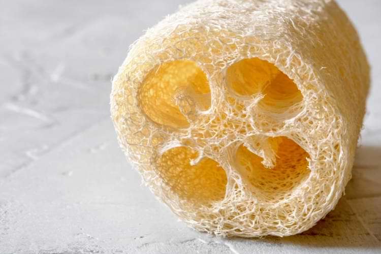 loofah réduit la cellulite