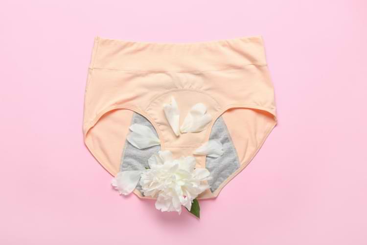 culotte menstruelle taille haute et bio